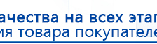 СКЭНАР-1-НТ (исполнение 02.2) Скэнар Оптима купить в Верее, Аппараты Скэнар купить в Верее, Дэнас официальный сайт denasdoctor.ru